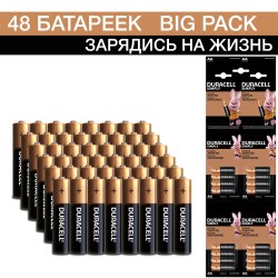 Ультрабольшая упаковка Duracell AA (LR6) Big Pack (3*16), 48 шт