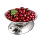 Кухонные весы Centek CT-2451