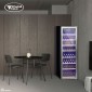 Винный шкаф Cold Vine C180-KSF2
