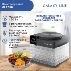 Электросушилка для овощей и фруктов GALAXYE GL2630 серая