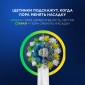 Набор Oral-B электрическая зубная щетка Pro 3/D505.513.3 тип 3772 + Насадка Oral-B CrossAction EB50RX 1шт