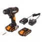 Дрель-шуруповерт аккумуляторная WORX WX100.2 + 2Ач х2 + ЗУ 0,4А + сумка