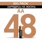 Ультрабольшая упаковка Duracell AA (LR6) Big Pack (3*16), 48 шт