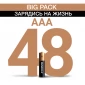 Ультрабольшая упаковка Duracell AAA (LR03) Big Pack (3*16), 48 шт