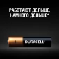 Ультрабольшая упаковка Duracell AAA (LR03) Big Pack (3*16), 48 шт