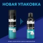 Пена для бритья Gillette Classic Sensitive Skin, 200 мл, 2шт