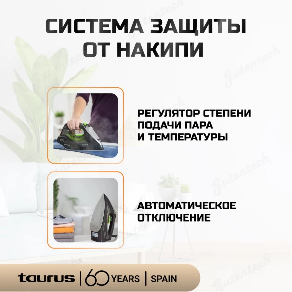 Утюг Taurus Geyser Eco 3000 Черно-зеленый