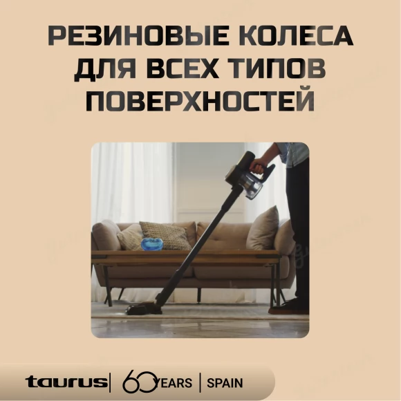 Пылесос Taurus Homeland Parking Черно-золотой